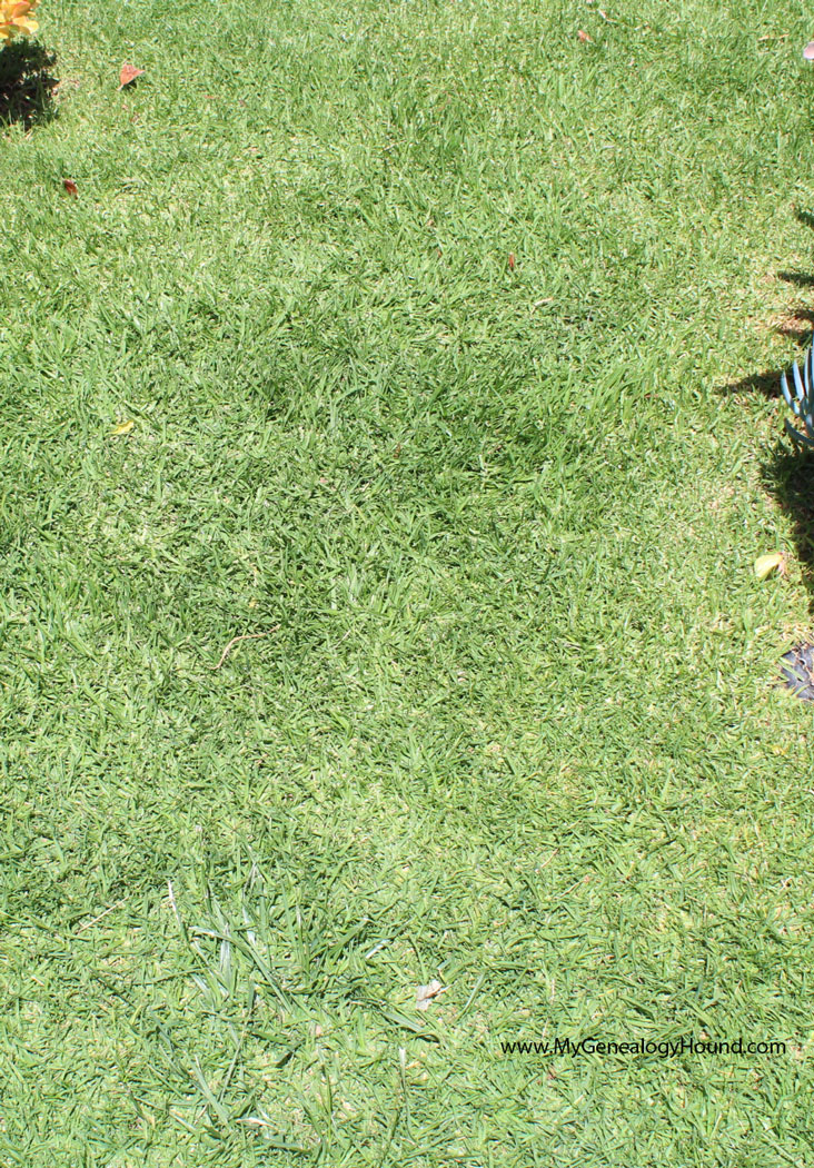Roy Orbison, Grave Site, Westwood Village Memorial Park Cemetery, Los Angeles, California, photo